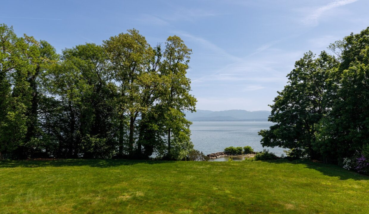 LAKE GENEVA PROPERTY IN DULLY FOR SALE (3)