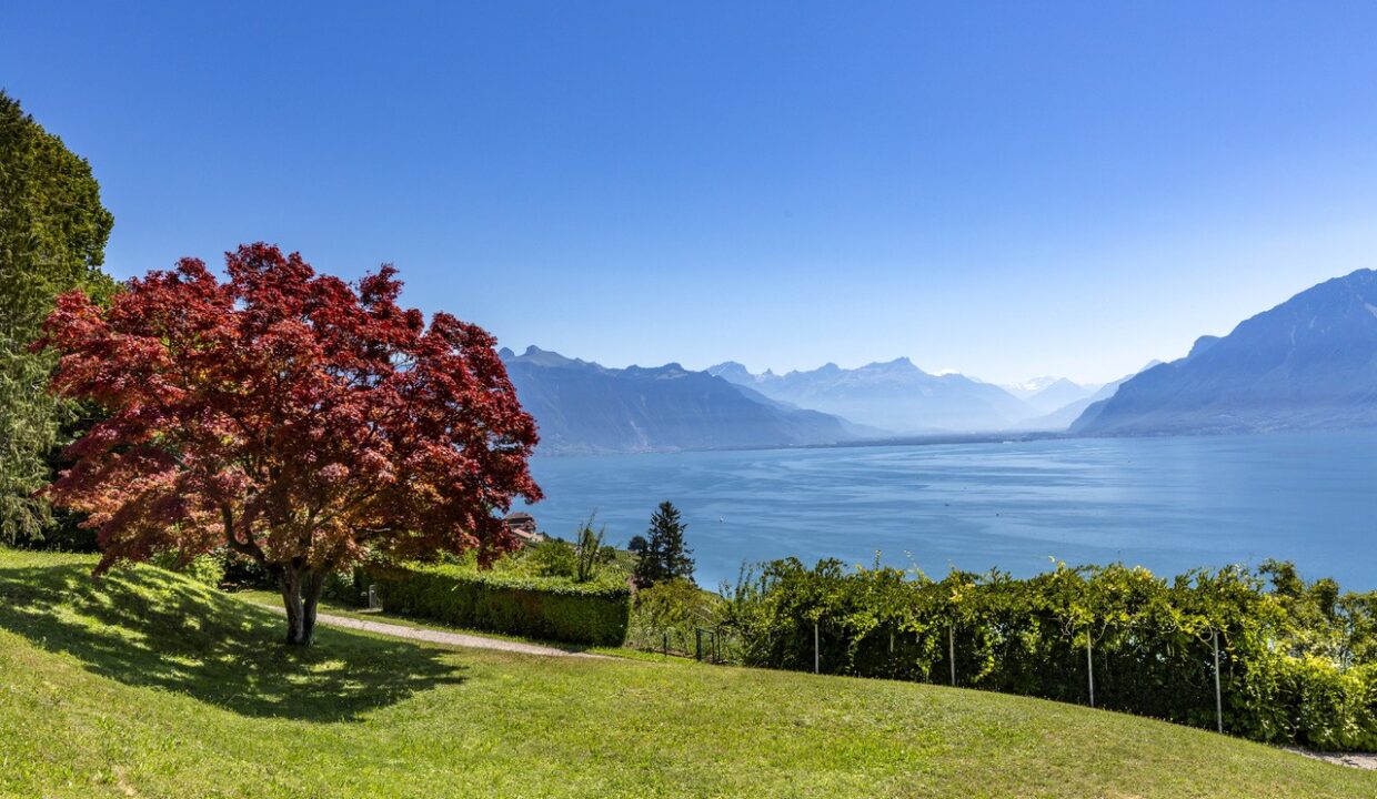 MAISON DE MAITRE CHEXBRES LAKE GENEVA FOR SALE (10)