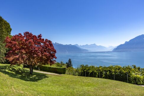 MAISON DE MAITRE CHEXBRES LAKE GENEVA FOR SALE (10)