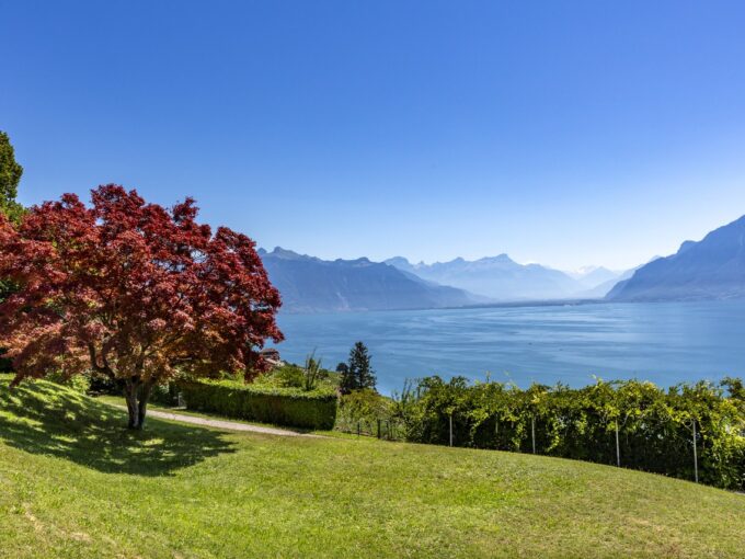 MAISON DE MAITRE CHEXBRES LAKE GENEVA FOR SALE (10)